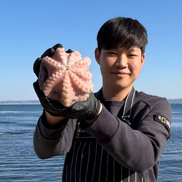 문어 냉동 세척 손질 통문어 8kg 25-40미 (200~300g)